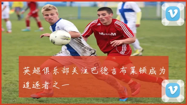 英超俱乐部关注巴德吉布莱顿成为追逐者之一