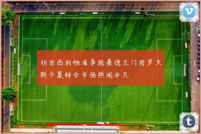 切尔西利物浦争抢桑德兰门将罗夫斯今夏转会市场热闹非凡
